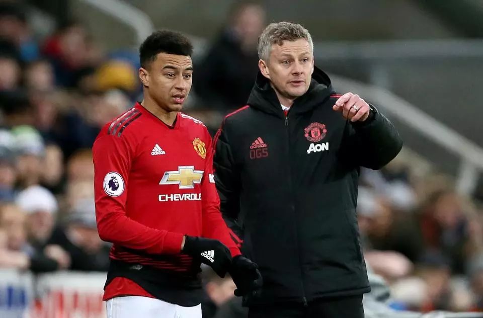 的顽强精神 的顽强精神